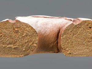 un pezzo di pane di segale Modello 3D