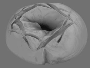 rye bread model Modelo 3D