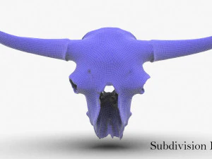 real bison skull 3d 3D Model