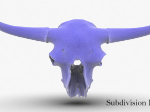 real bison skull 3d 3D Model