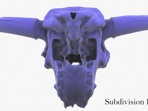 real bison skull 3d 3D Model
