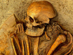 real human skeleton 3D Model