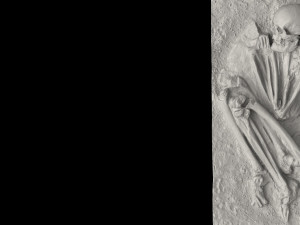 real human skeleton Modelo 3D
