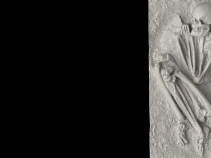 real human skeleton 3D Model