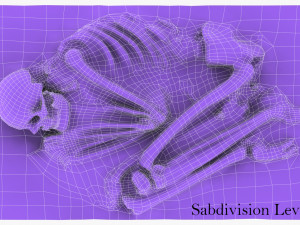 real human skeleton Modelo 3D