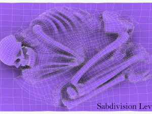 real human skeleton 3D Model