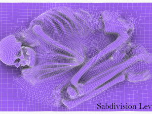 real human skeleton Modelo 3D
