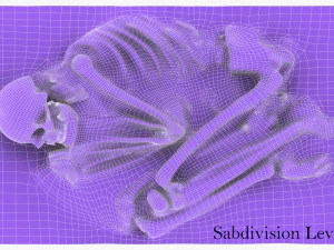 real human skeleton 3D Model