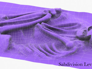 real human skeleton Modelo 3D