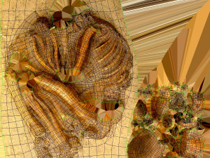 real human skeleton Modelo 3D