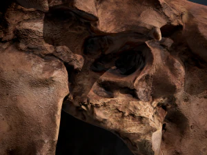 real human skull 3D Model