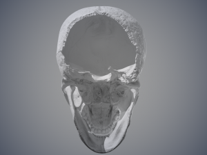 real human skull 3D Model