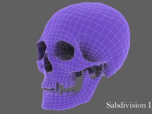 real human skull 3D Model