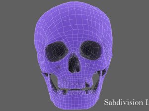 real human skull 3D Model