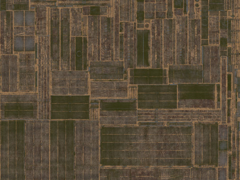 Середньовічний дерев'яний візок 3 3D Модель