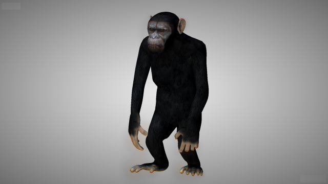 monkey ape 3D मॉडल .c4d .max .obj .3ds .fbx .stl .blend 