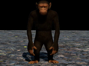 małpa małpa Model 3D