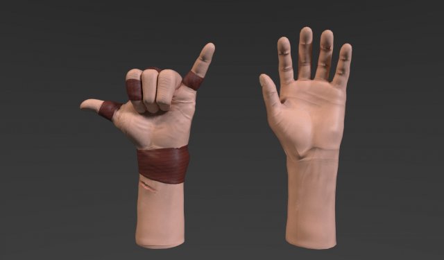 hand 3D मॉडल .c4d .max .obj .3ds .fbx .stl .blend 