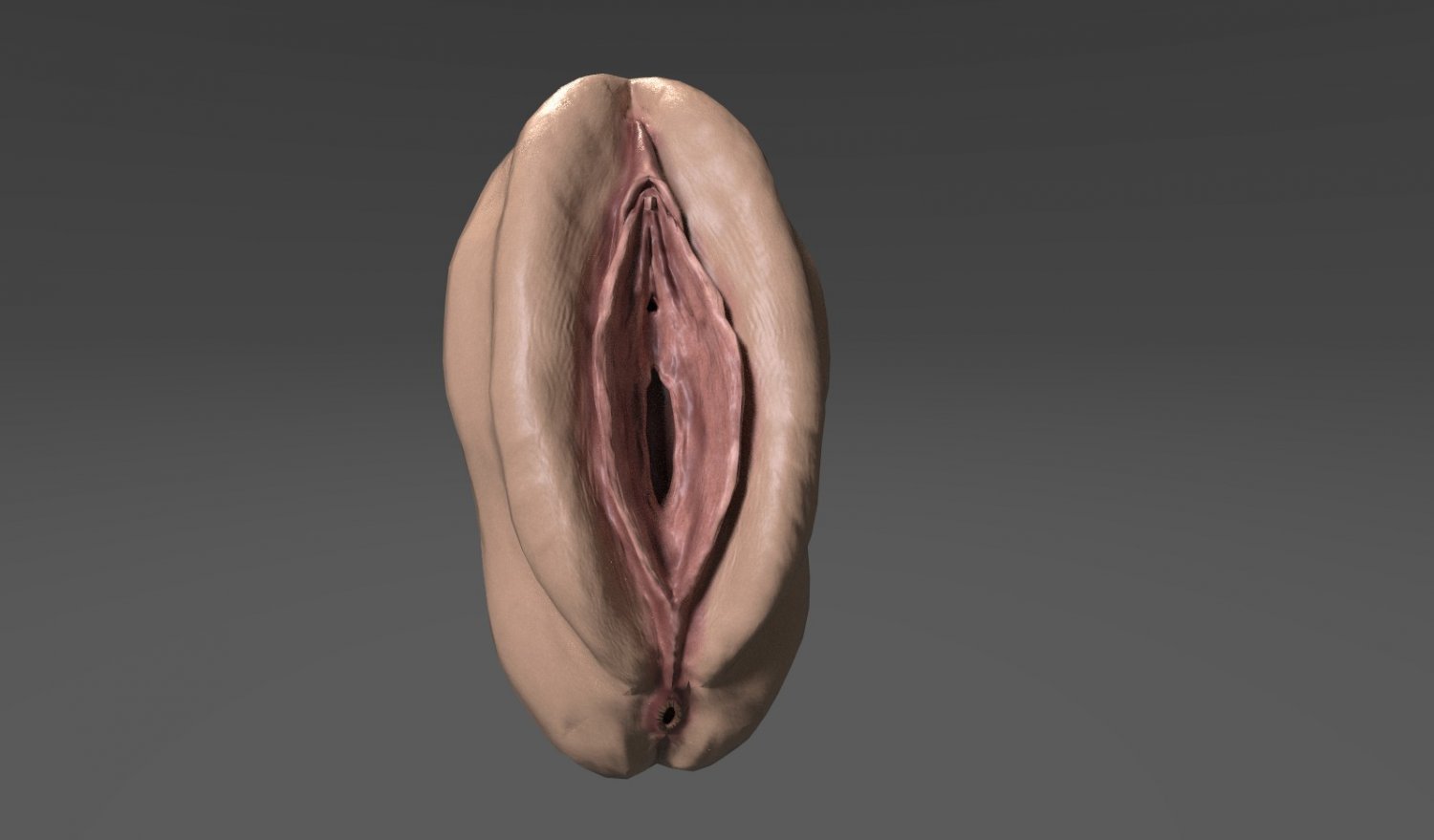 Madonna 3d vulva