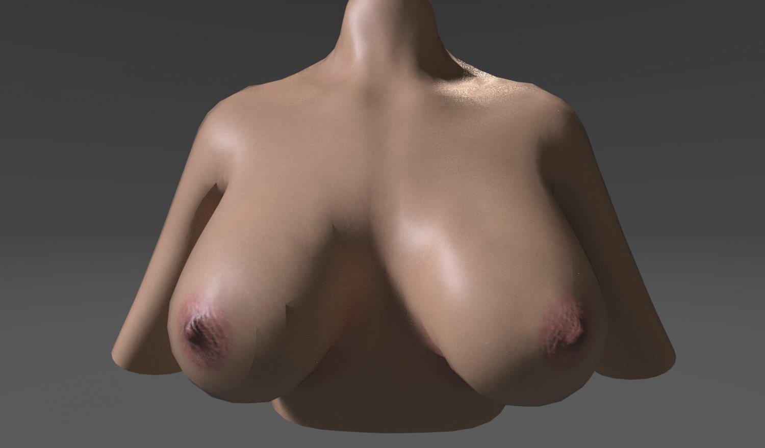Characters. tits realistic 3D Models. 