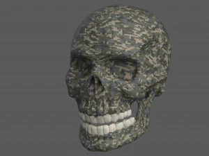 skull of skeleton 3D Model