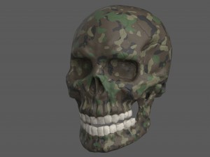 skull of skeleton Modèle 3D