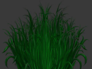 bush hand painted 3D Model