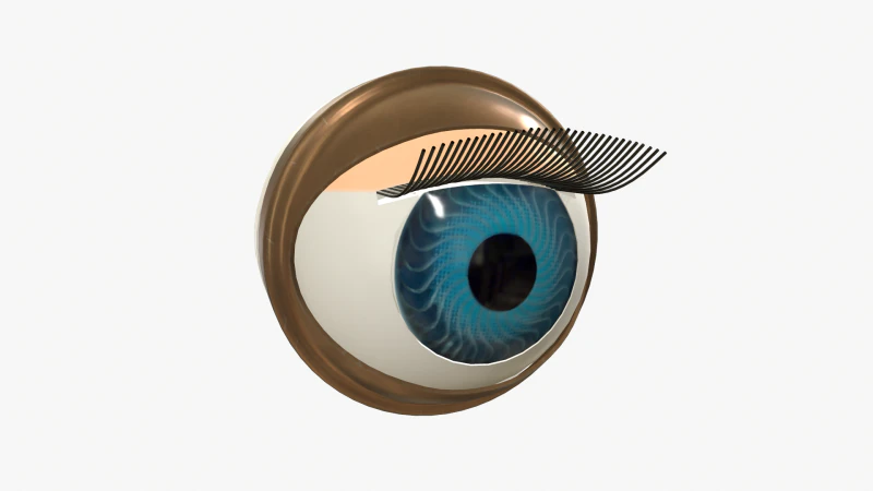 Doll eye mechanism 3D Model .c4d .max .obj .3ds .fbx .stl .blend 