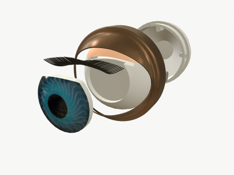 Doll eye mechanism Modelo 3D