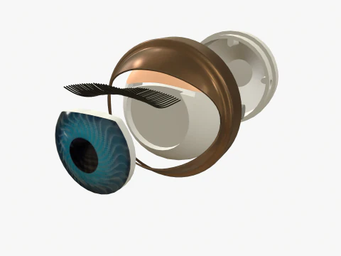 Doll eye mechanism 3D Model