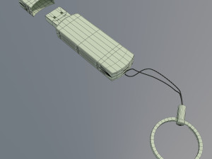 pq1 flash 16gb 3D Model