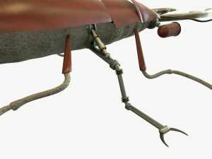Beetle robot Model 3D