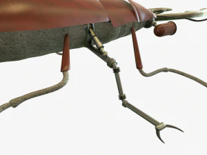 Beetle robot 3D Model