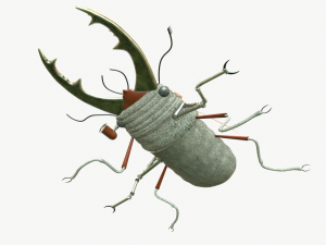 Beetle robot Model 3D