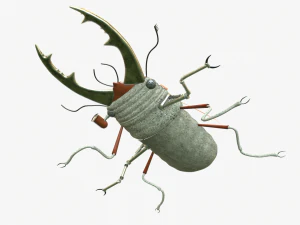 Beetle robot 3D Model