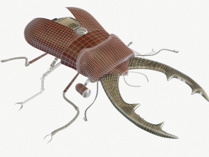 Beetle robot Model 3D