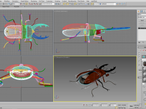 Beetle robot Model 3D