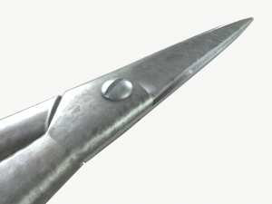 Scissors 3D 模型