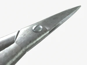 Scissors 3D Model