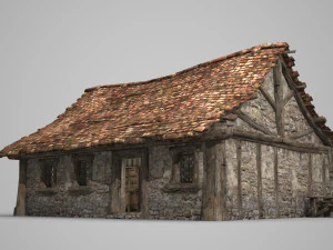 perumahan perumahan arsitektur kuno Model 3D
