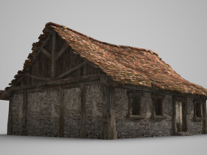 ancient architectural residential housing 3Dモデル