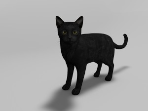 black cat rigged 3Dモデル