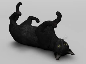 black cat rigged 3D Model