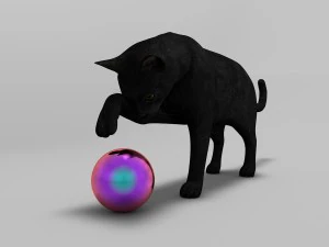black cat rigged 3D Model