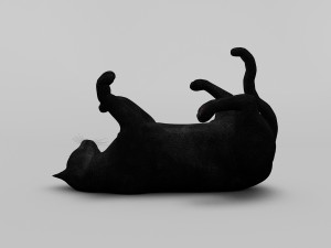 black cat rigged 3D Модель