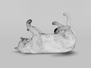 black cat rigged 3D Модель