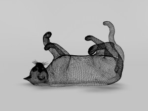 black cat rigged 3D Модель