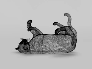 black cat rigged 3D Model