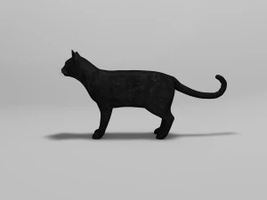 black cat rigged 3D Model