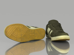 skater shoes 3D 모델